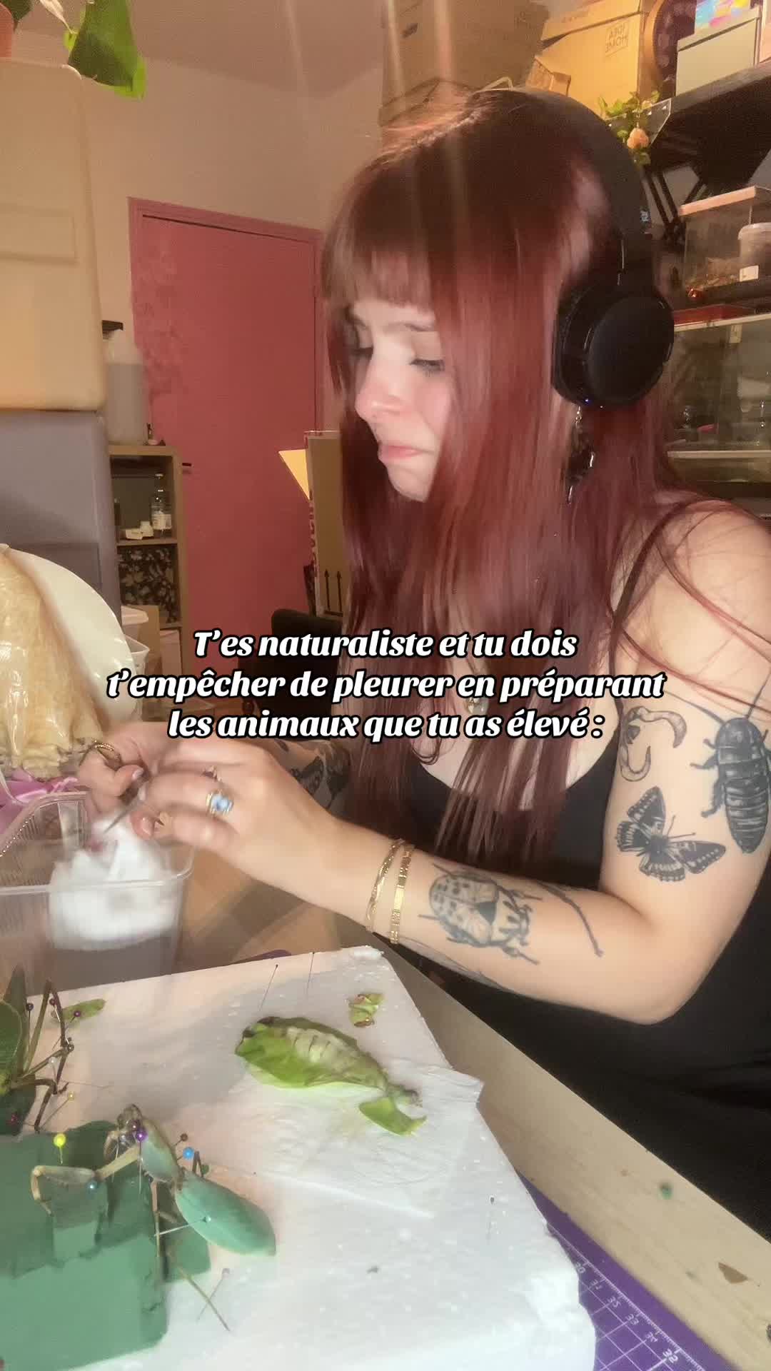 @Am🪲🎀