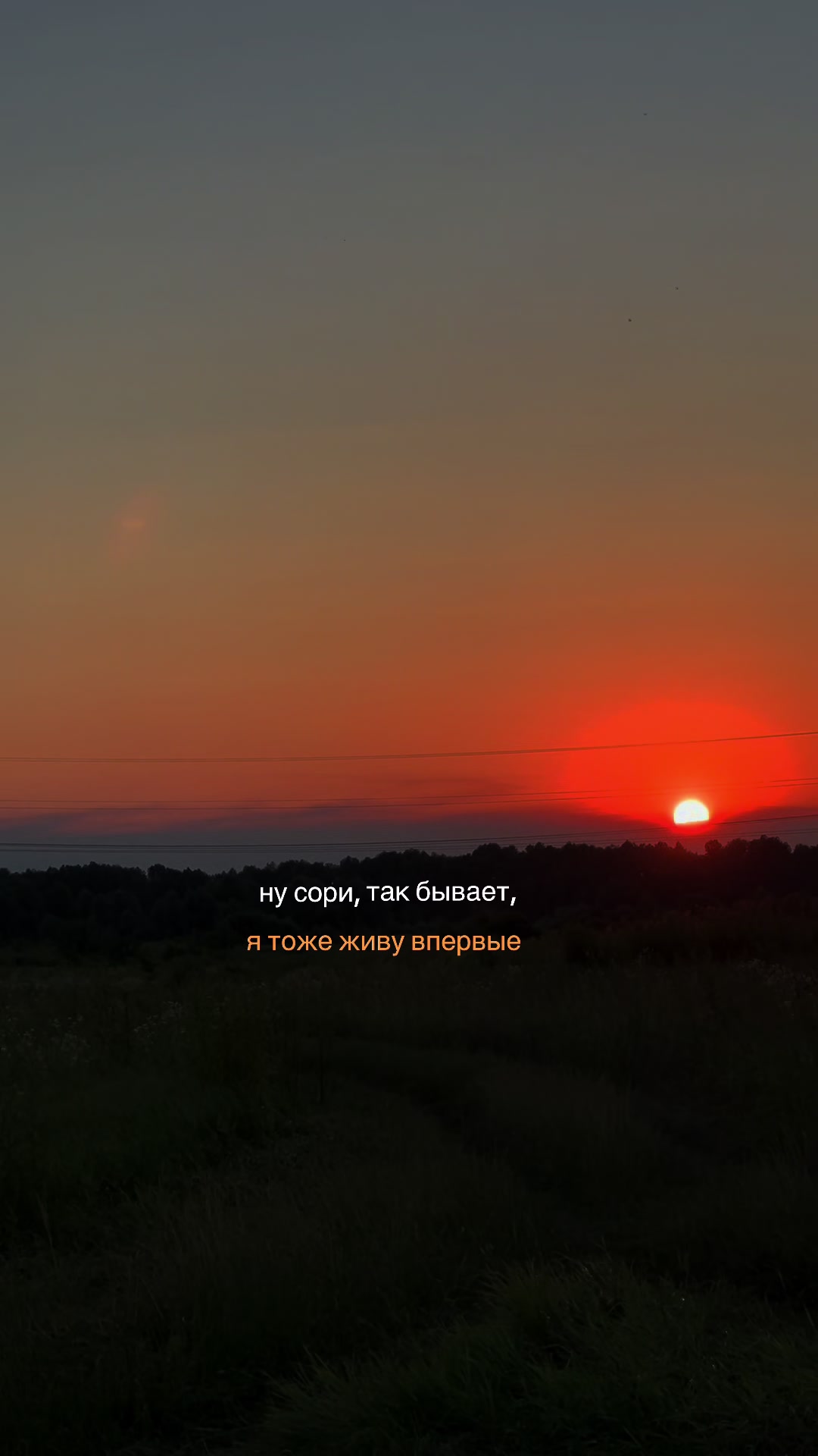 @косатка