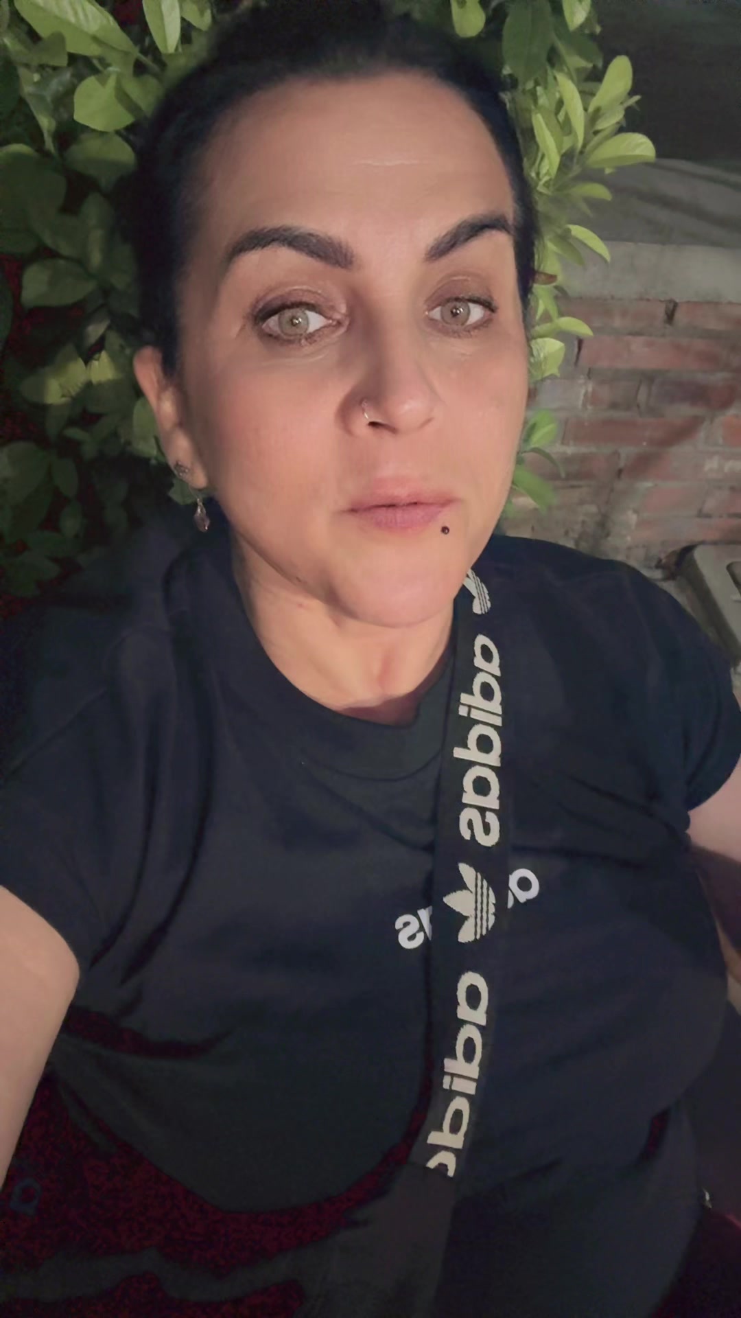@Ginevra leone