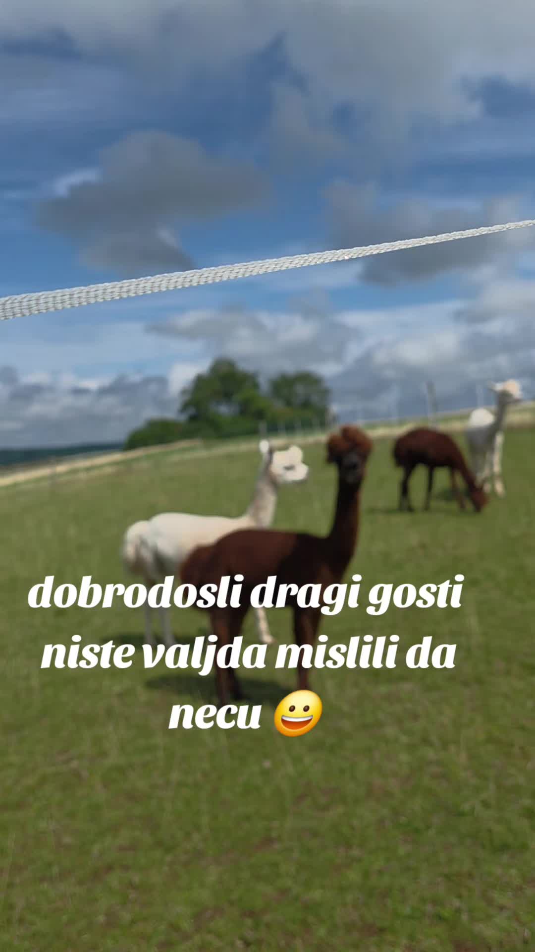 @🥇⭐solo igračica⭐ 🥇 &reg;️