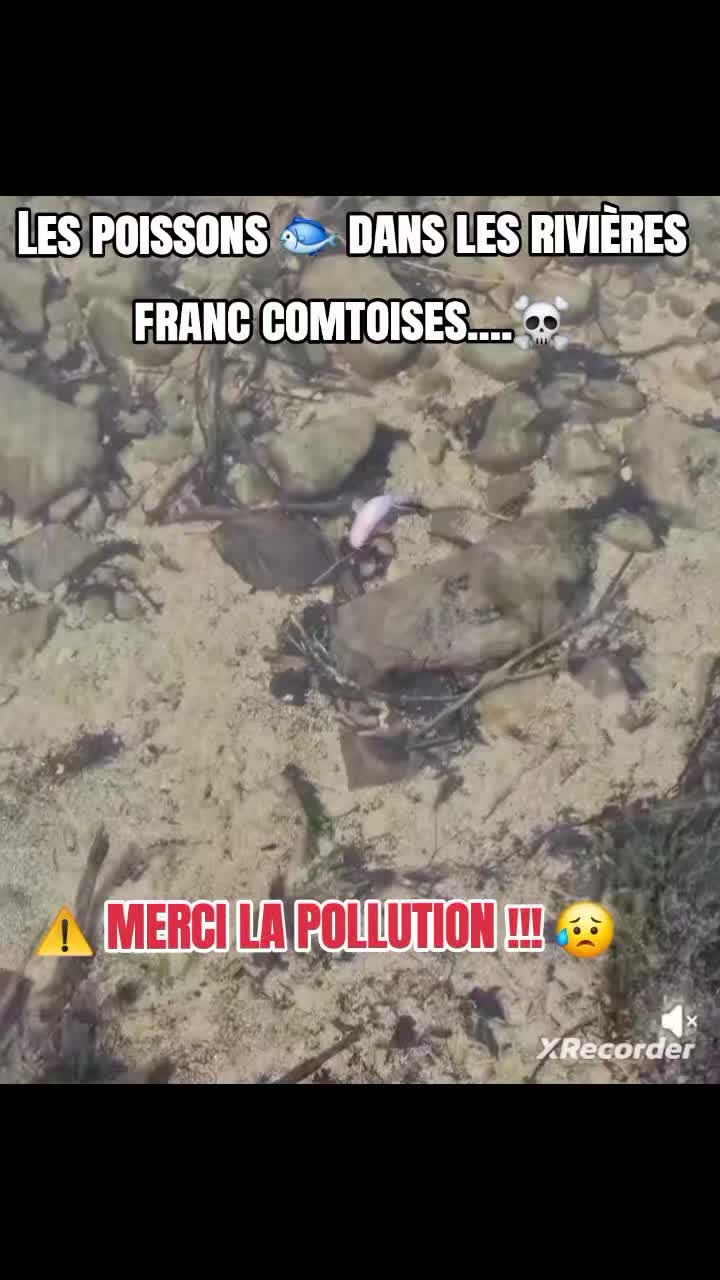 @rivi&egrave;res comtoises &agrave; l'agonie