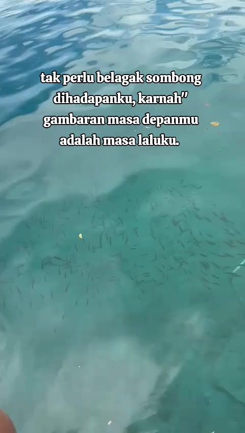 @آدي لوبيس