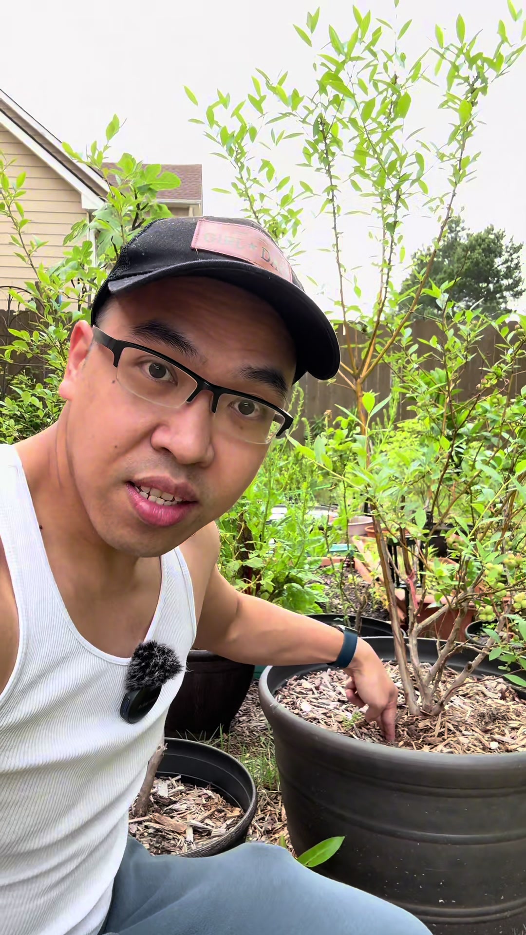 @Buff Gardener
