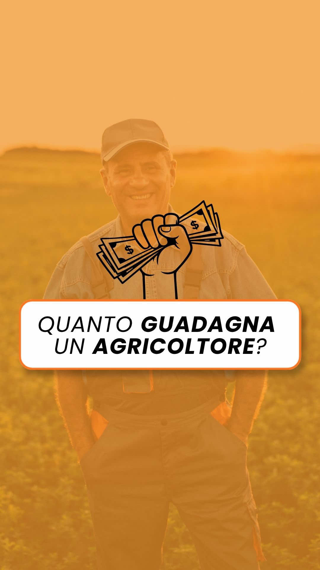 @Fenice Academy - Lavoro Online