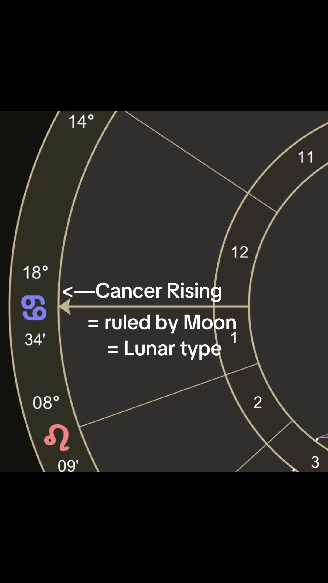 @Ziggy Astrology