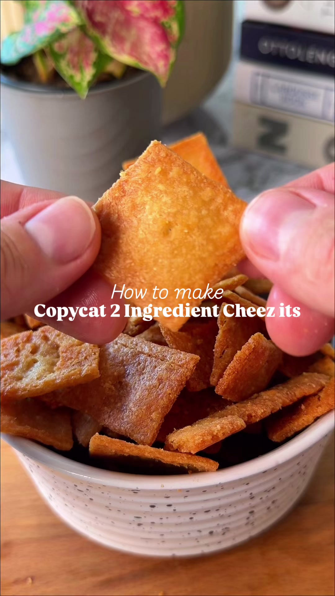 @Chef Josh Gale