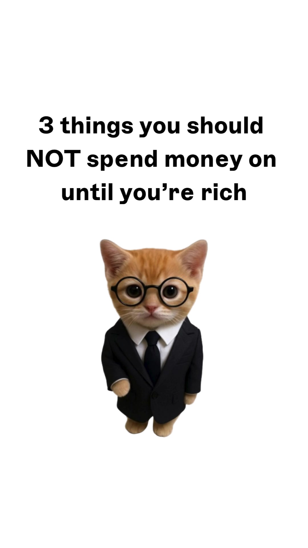 @wallstreetkitty