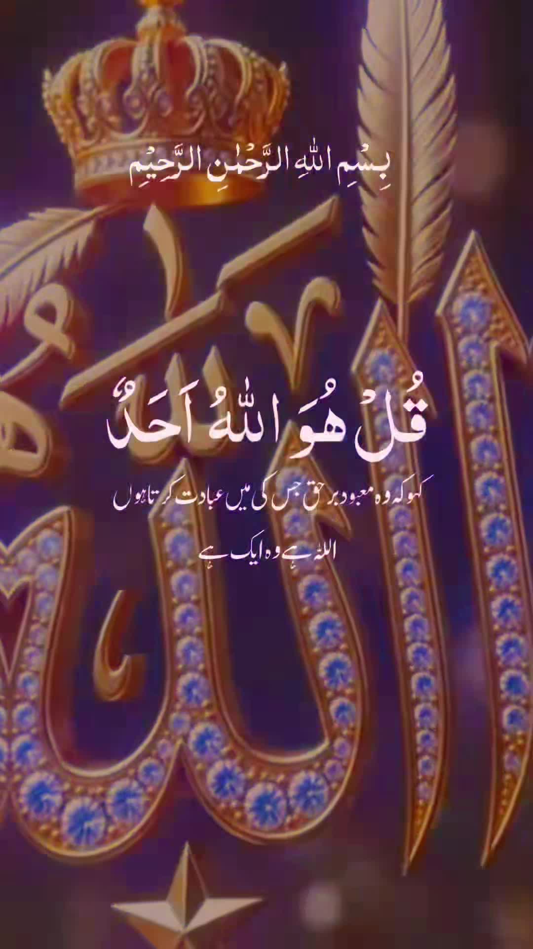 @shazia_khan❤️