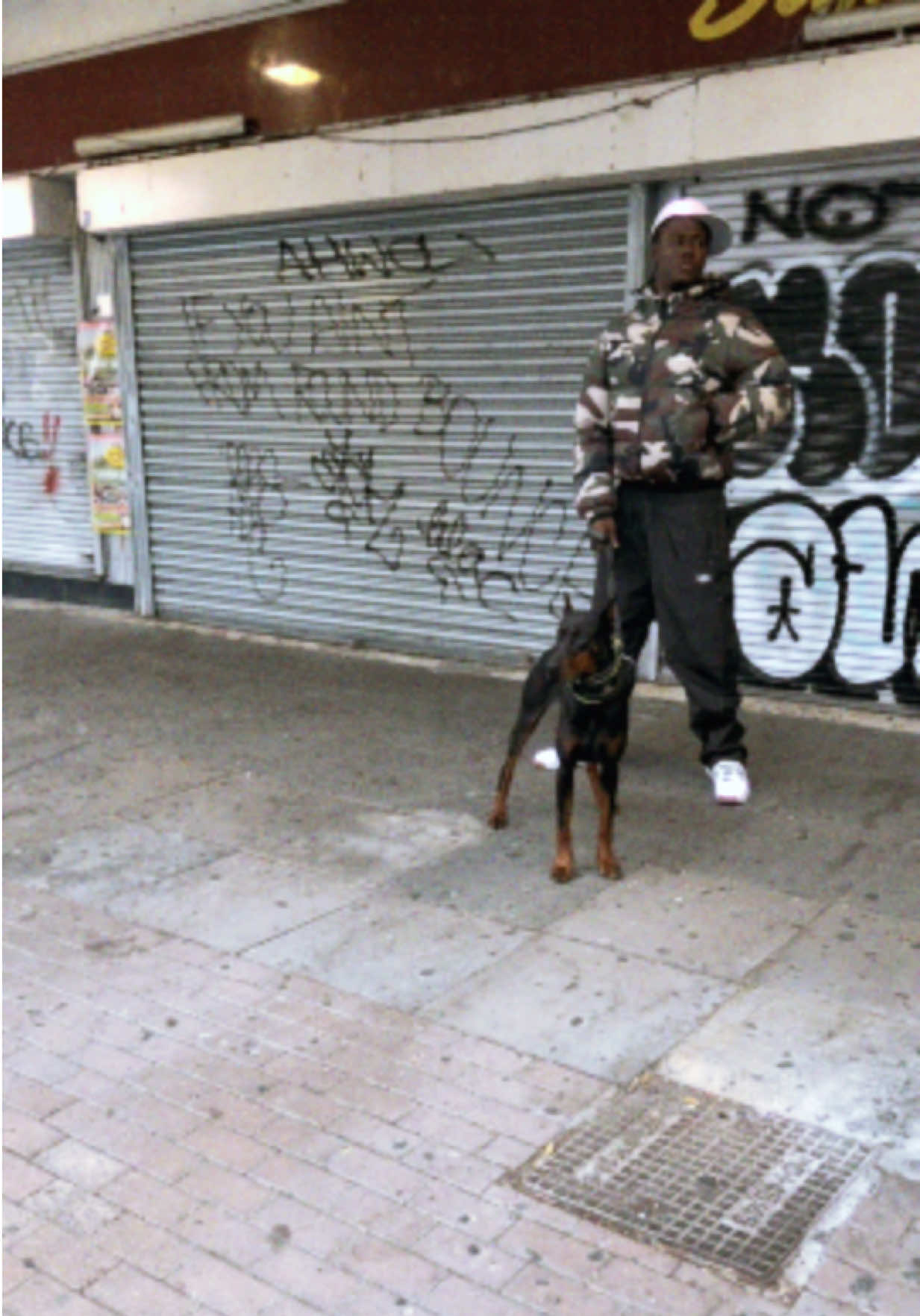 @protectiondobermanns