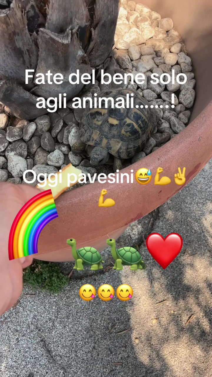 @raffobaffo2079