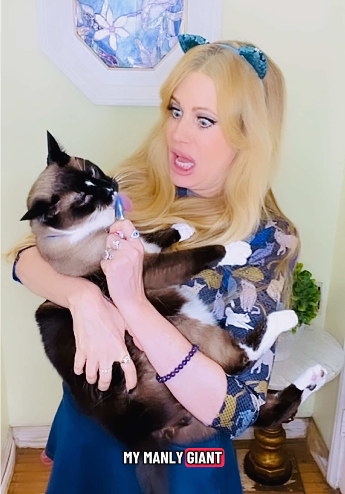 @Holly Meowy