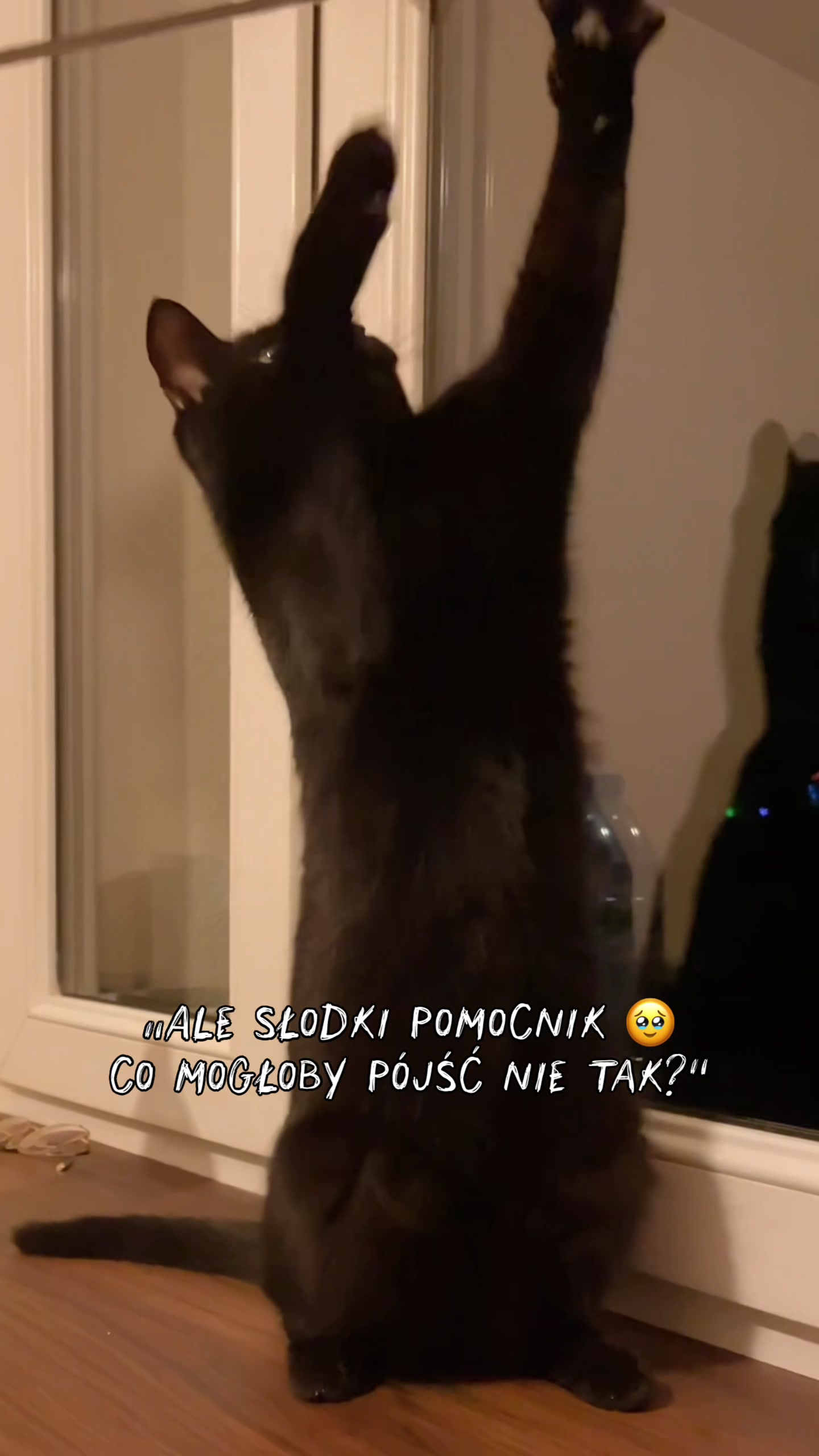 @IG: mrrrtasy
