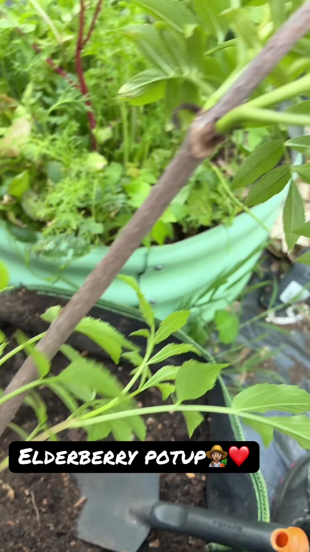 @gobigadventuresfarm
