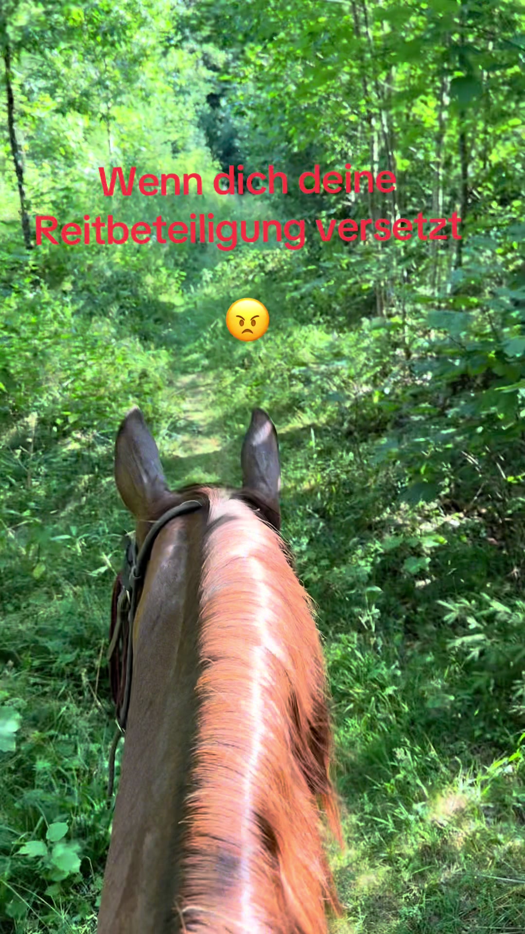 @Ranchma