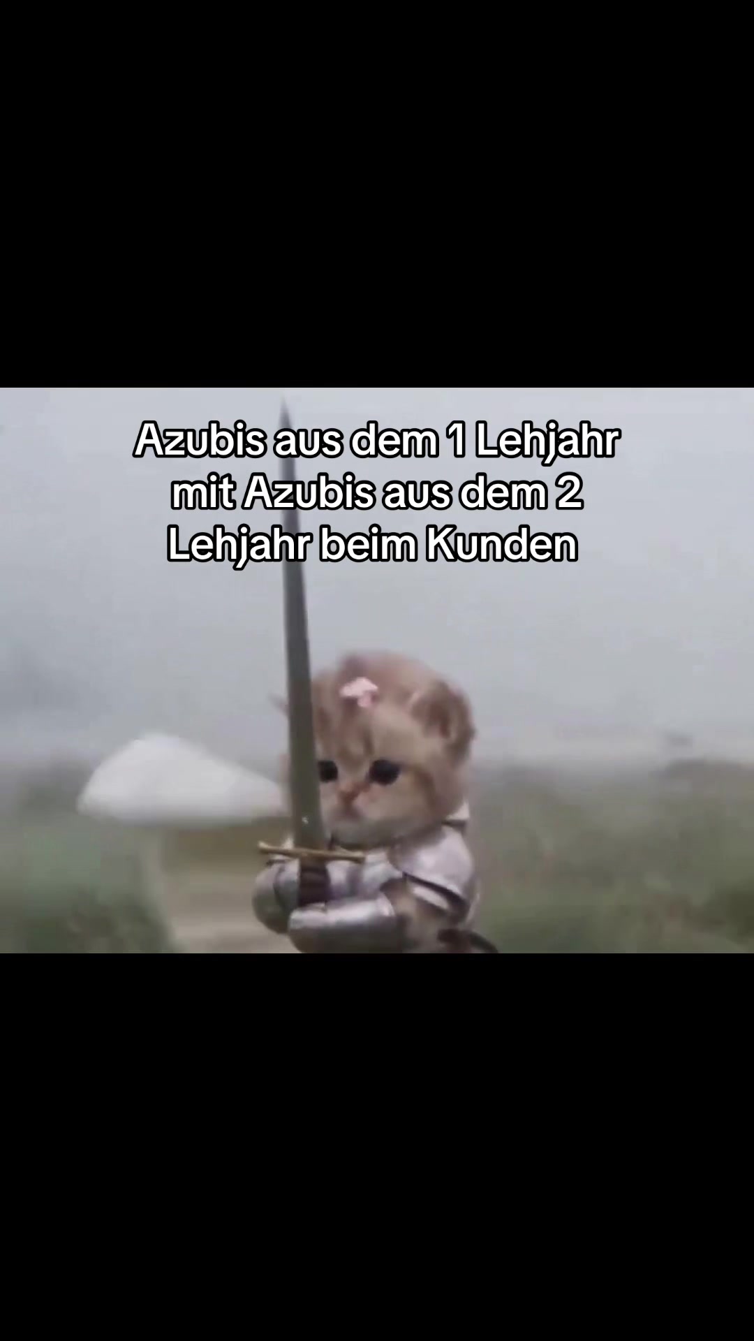 @Azubibericht