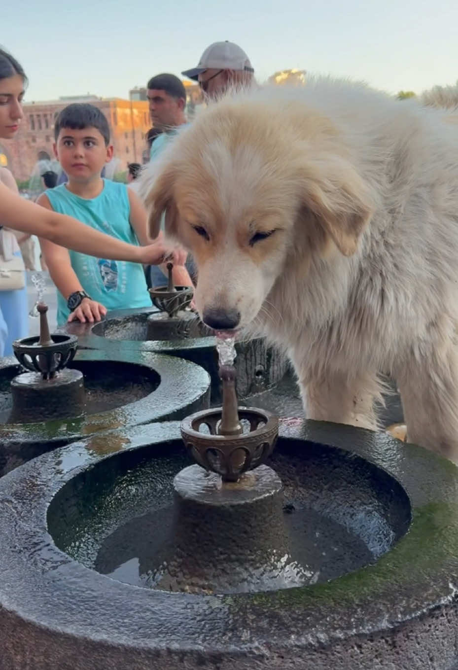@Виктор Счастливый