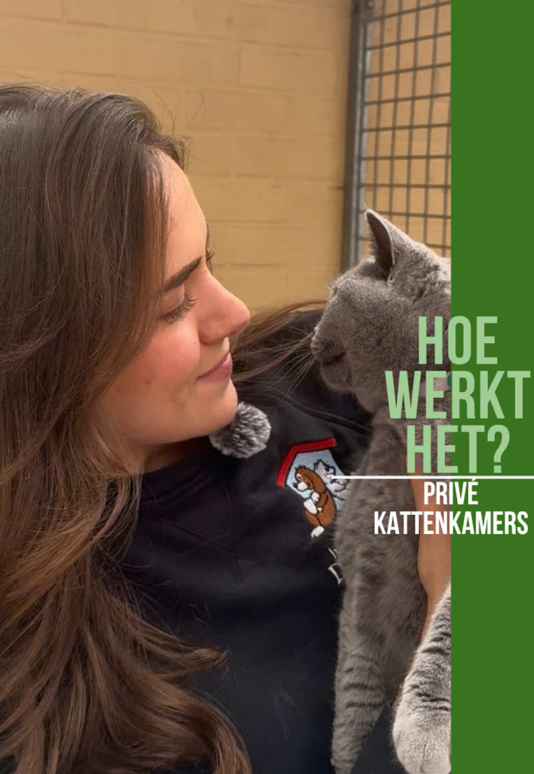 @HuisdierenhotelDeHeggeWeert