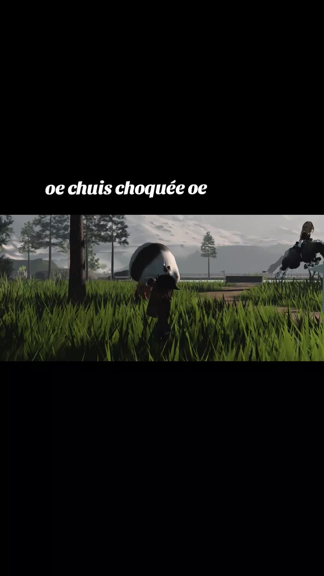 @L'🪶