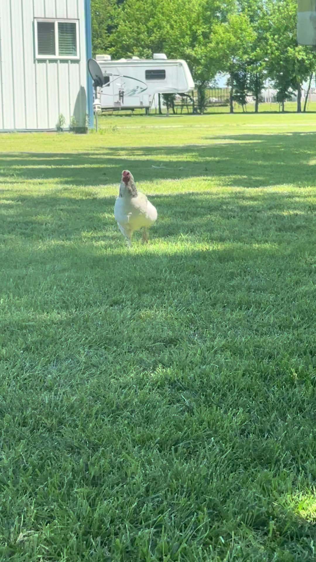 @NonniesFunnyFarm