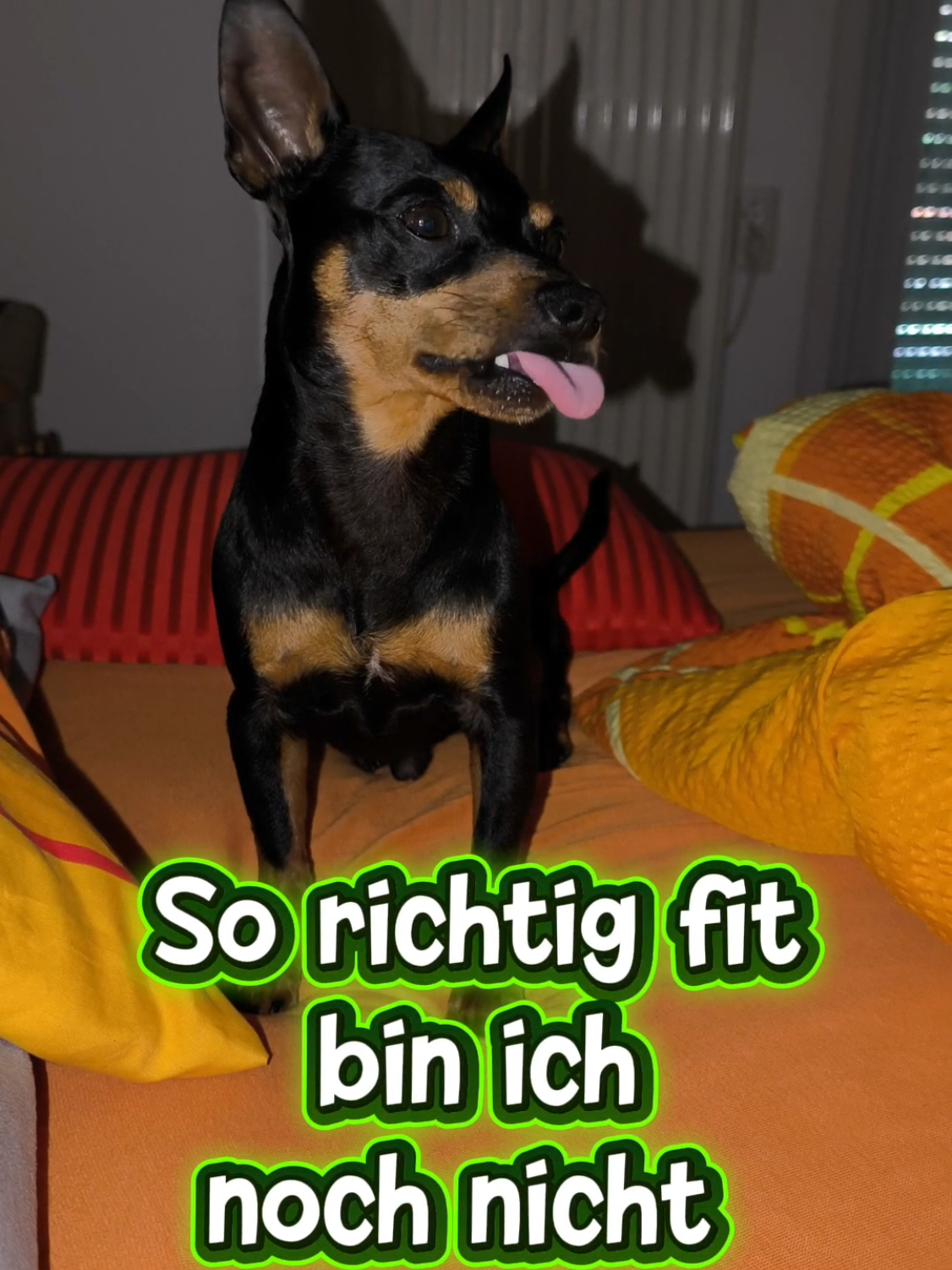 @ICH BIN'S