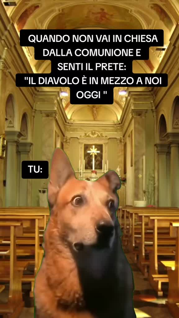 @Stefano Cr80