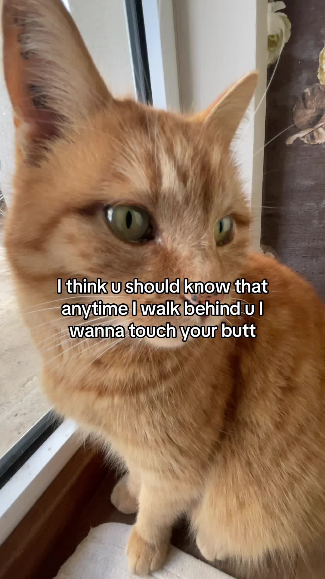 @Simba