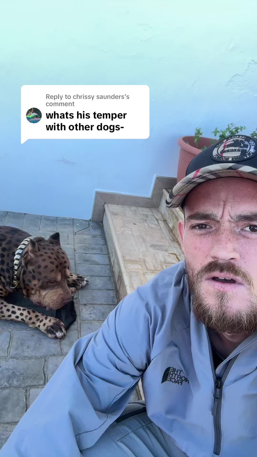 @deanthedogman1