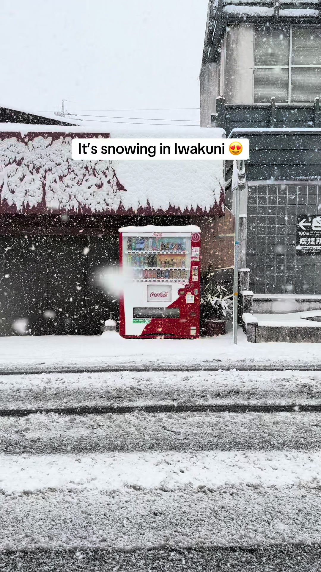 @Carmencita | Life in Japan
