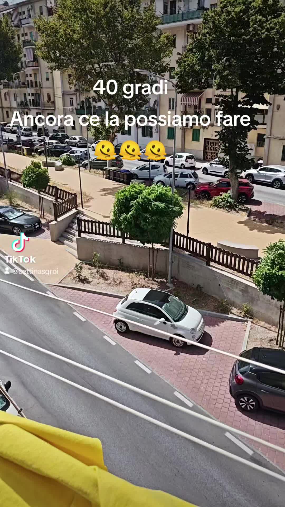 @Cettina Sgroi