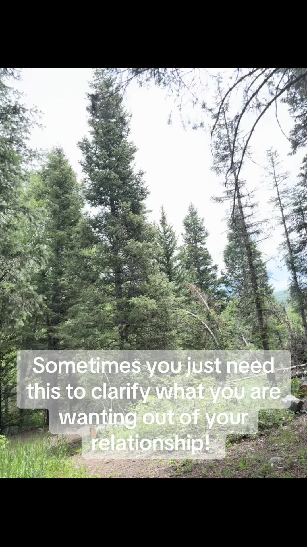 @Alyssia 🦚 Intimate Alchemy