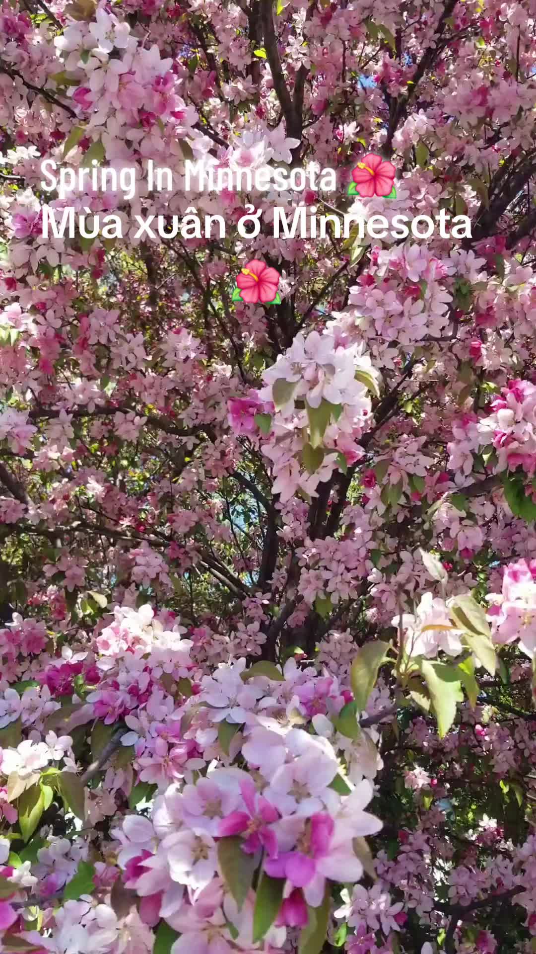 @WilliamMinnesota