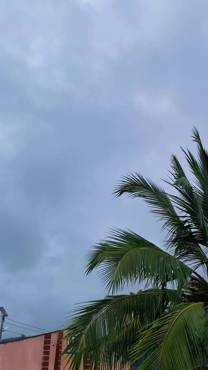 @♡𝕁𝕦𝕤𝕥_ℕ𝕚𝕗𝕚𝕖𝕤𝕪♡