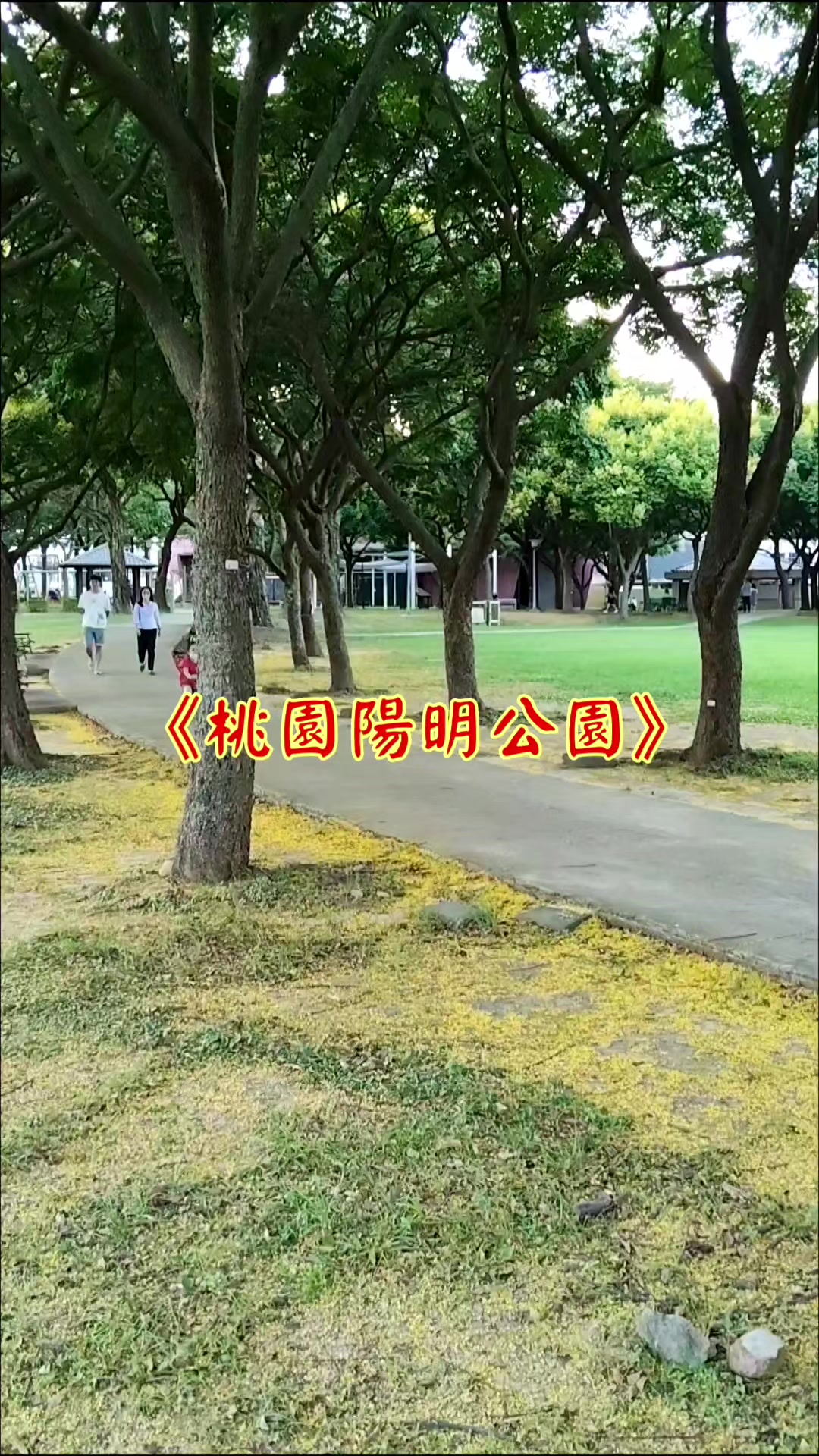 @雞不叫也天亮