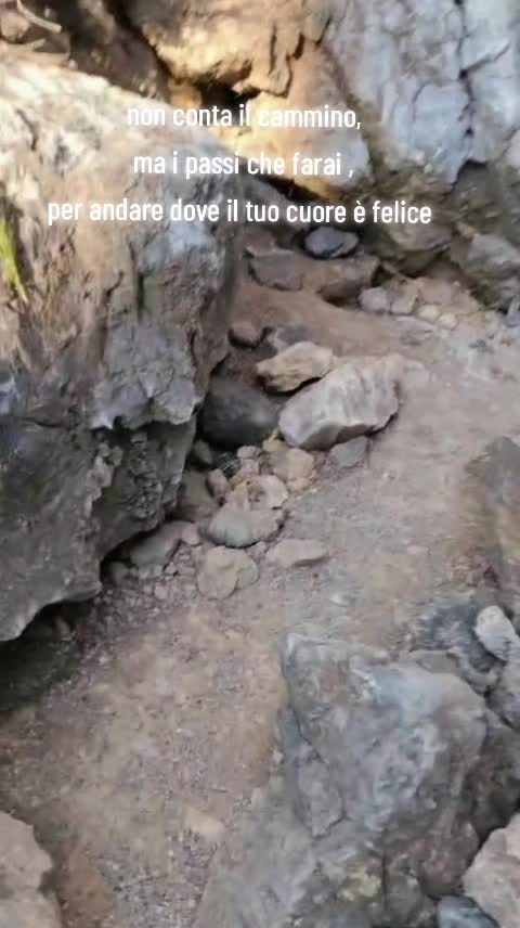 @Ella.Anto@MY.RY