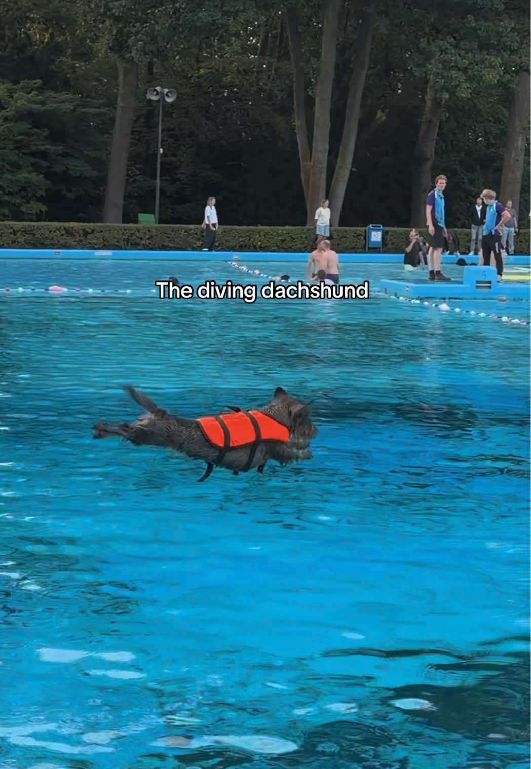 @lifeoflunabowie