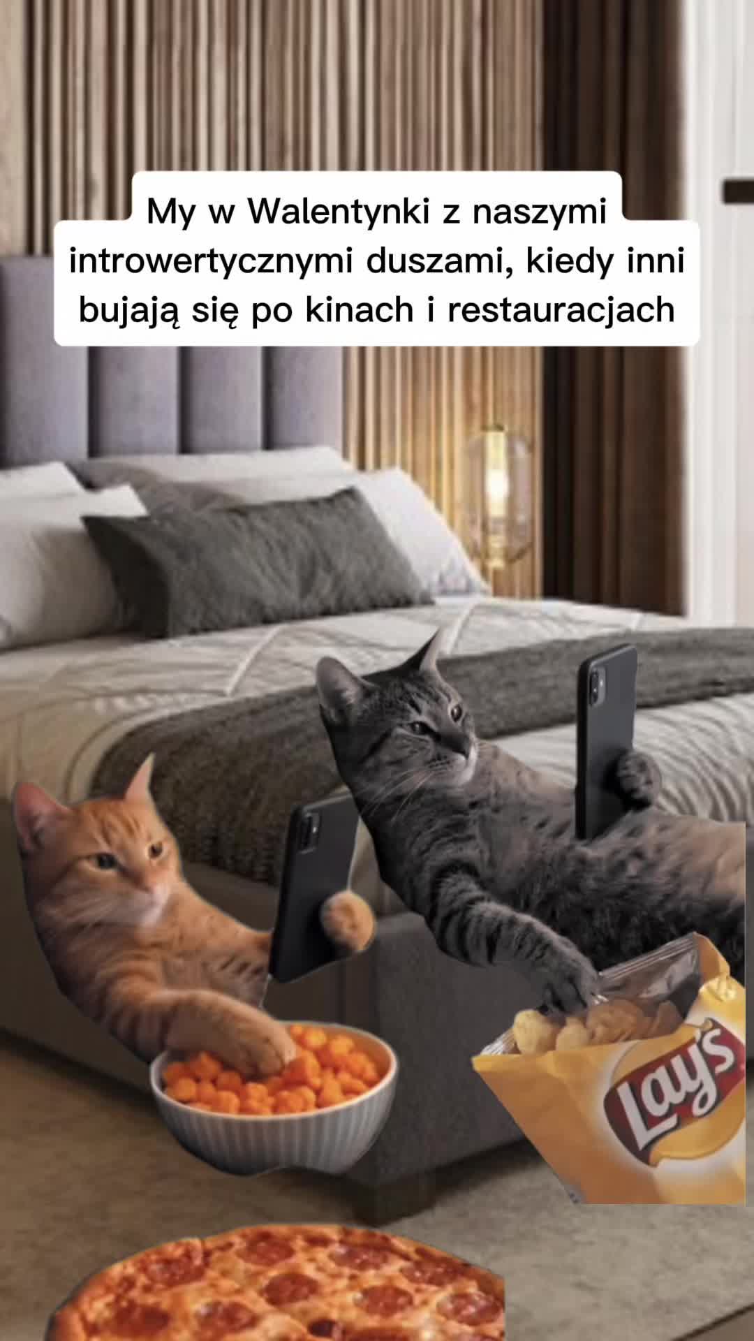 @Zofka