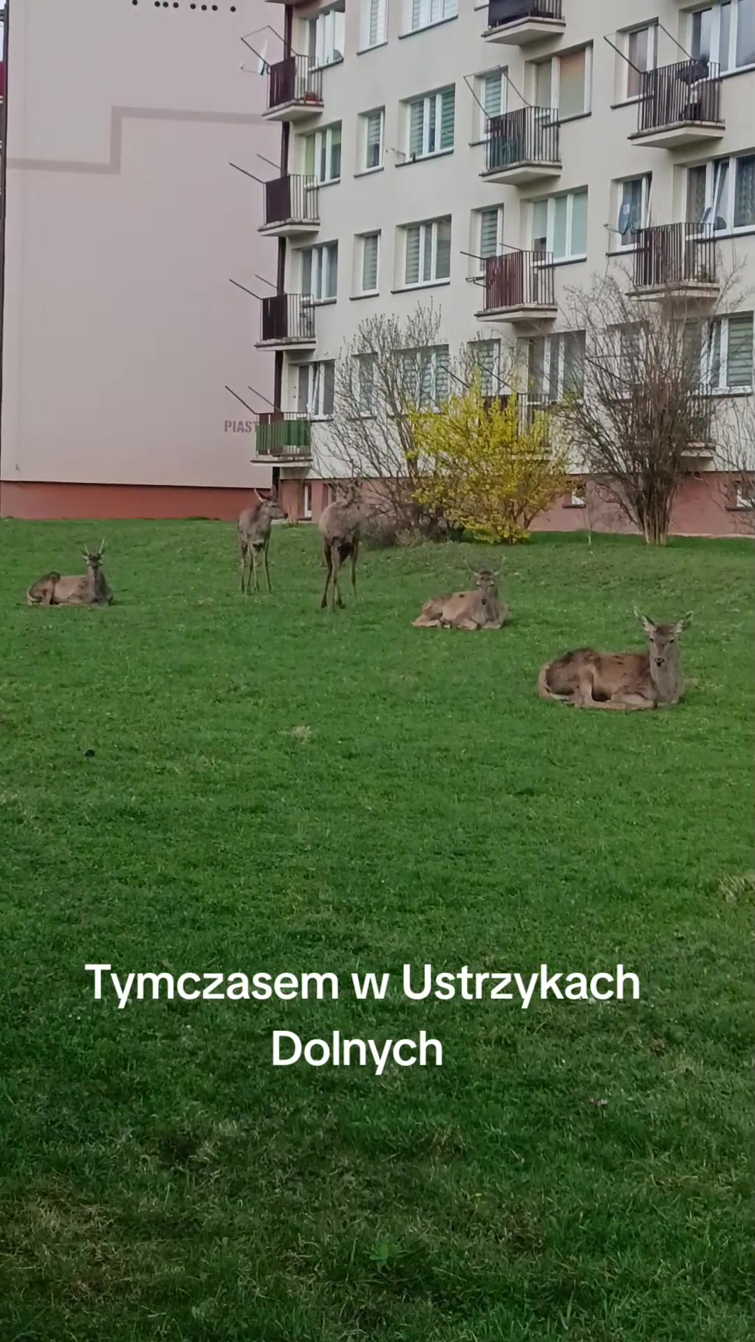@smakowitewędr&oacute;wki