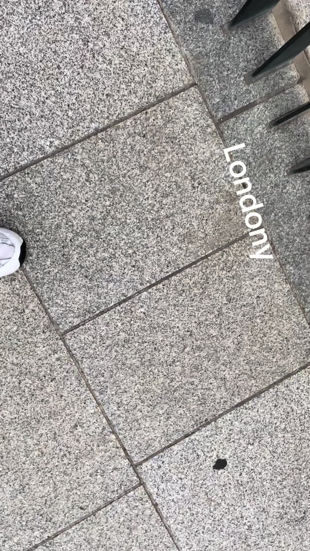 @Leo17💎🏴