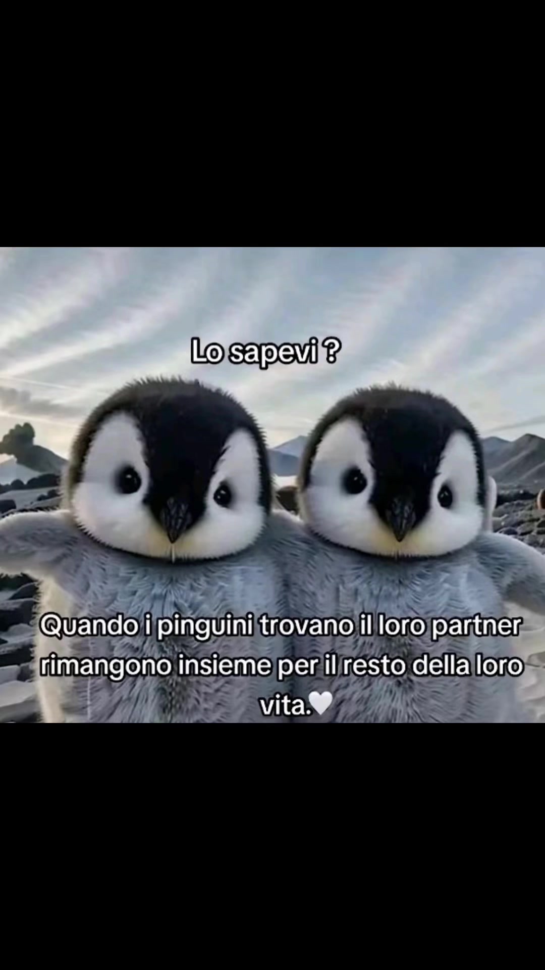 @ML