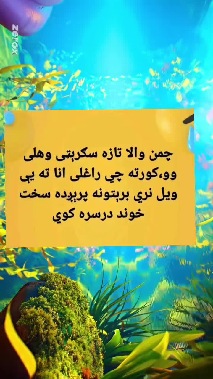 @funnysmile2026