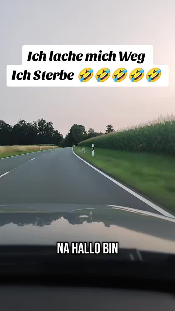 @๐ฑ๐ง Just For Fun ๐ฉ๐ช
