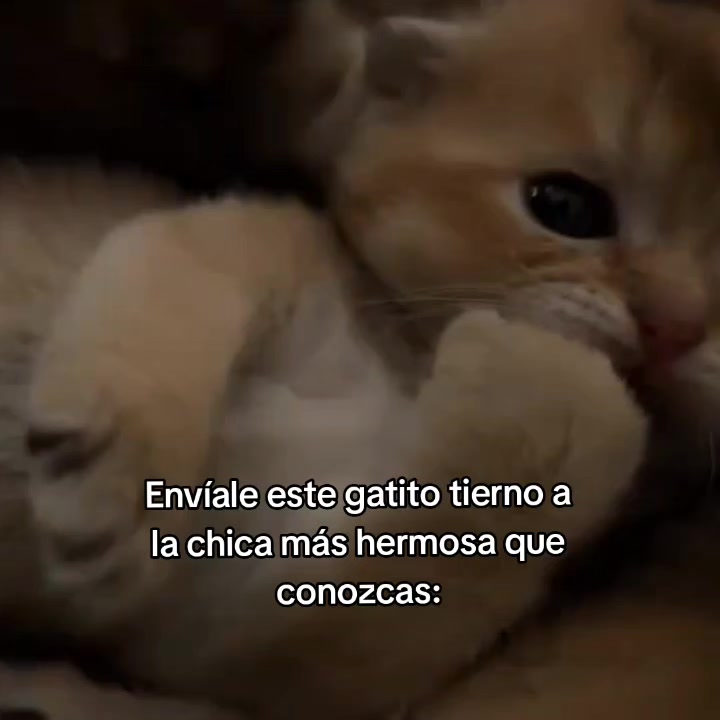 @goodvibessxd