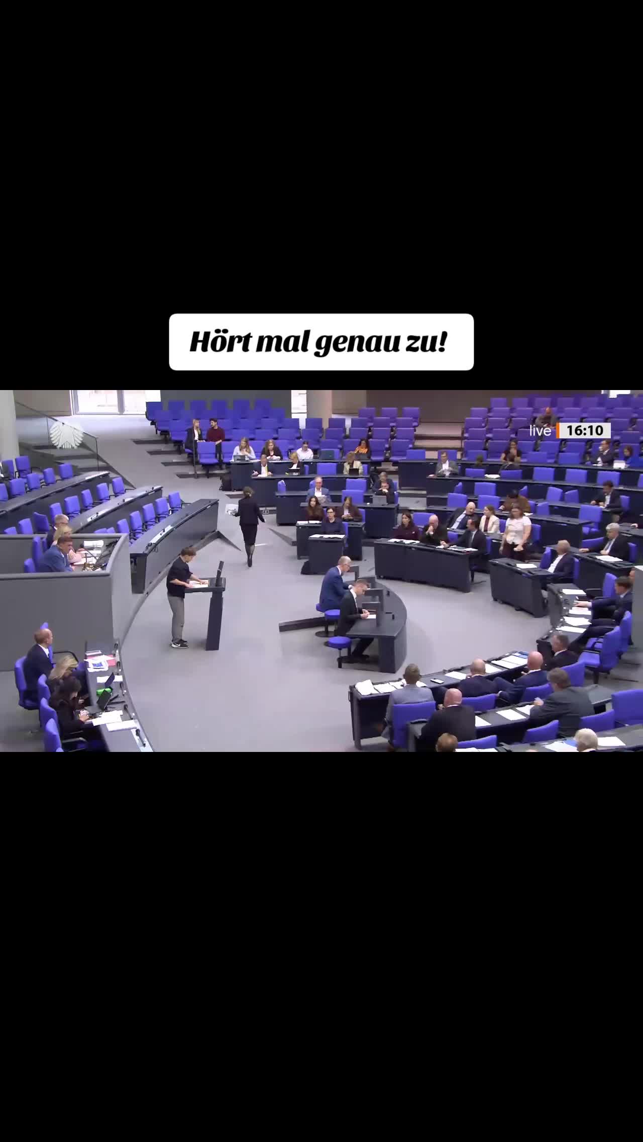@Pup_Punker_AntiAfD