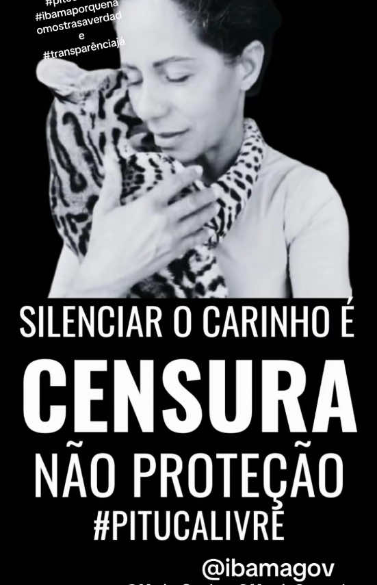 @Elisabete Silva