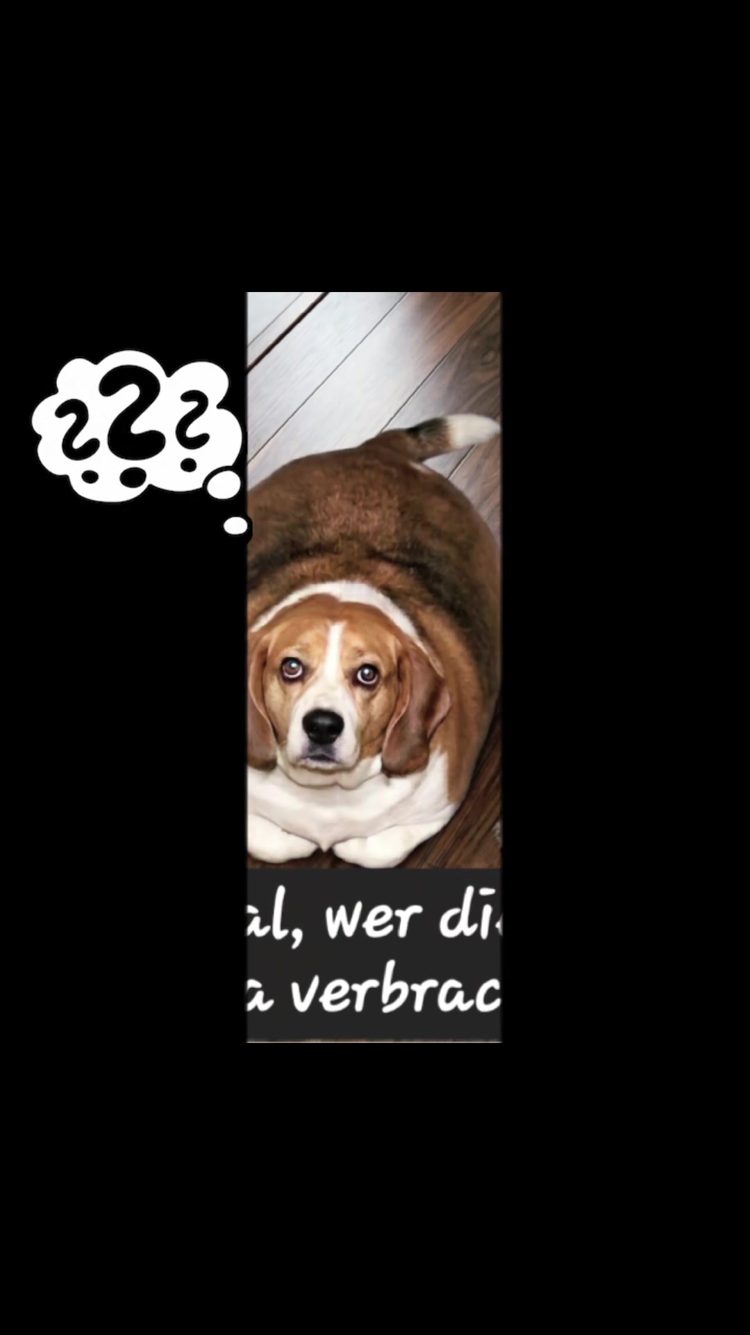 @Milo