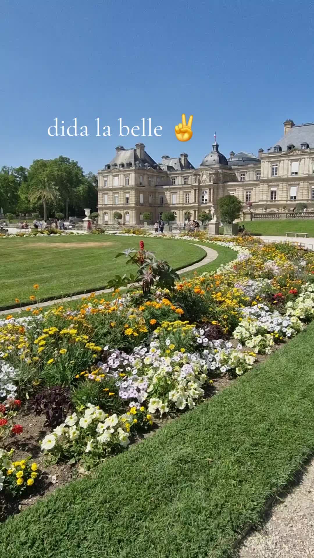 @dida  la belle