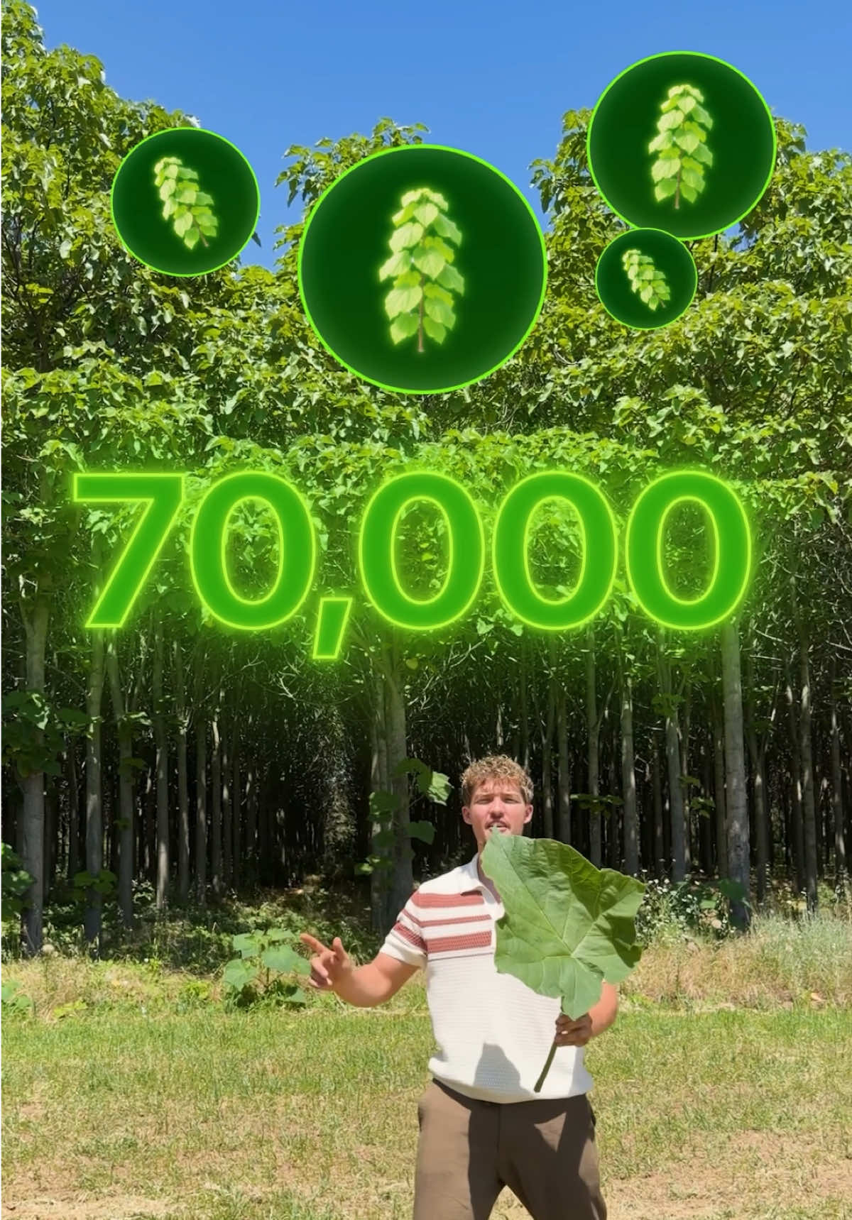 @greenlungspoland