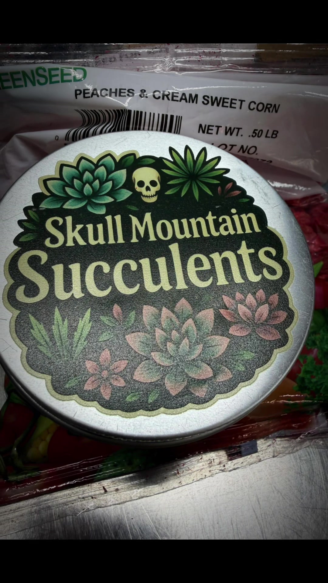 @Skull Mountain Succulents