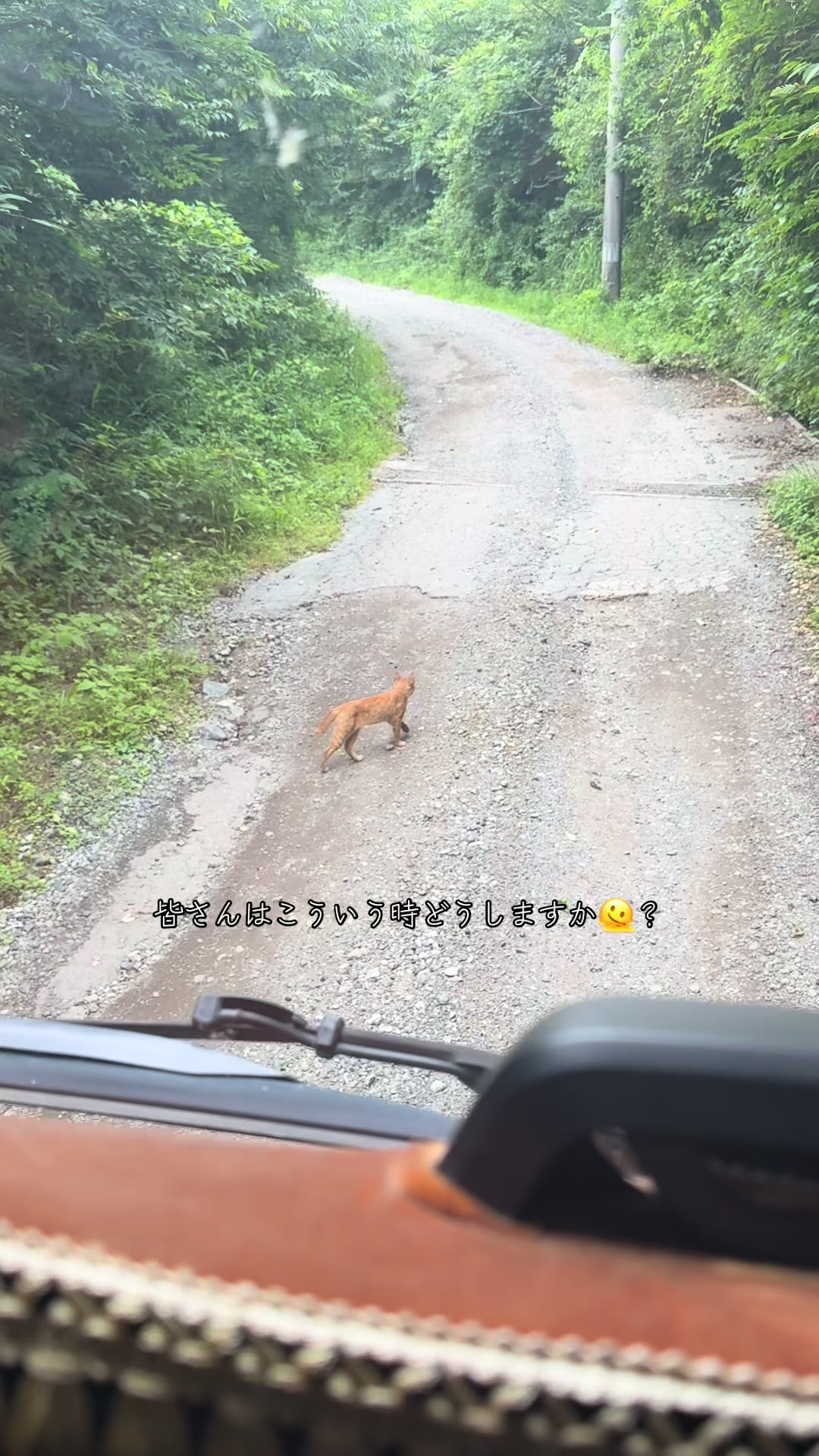 @とおる