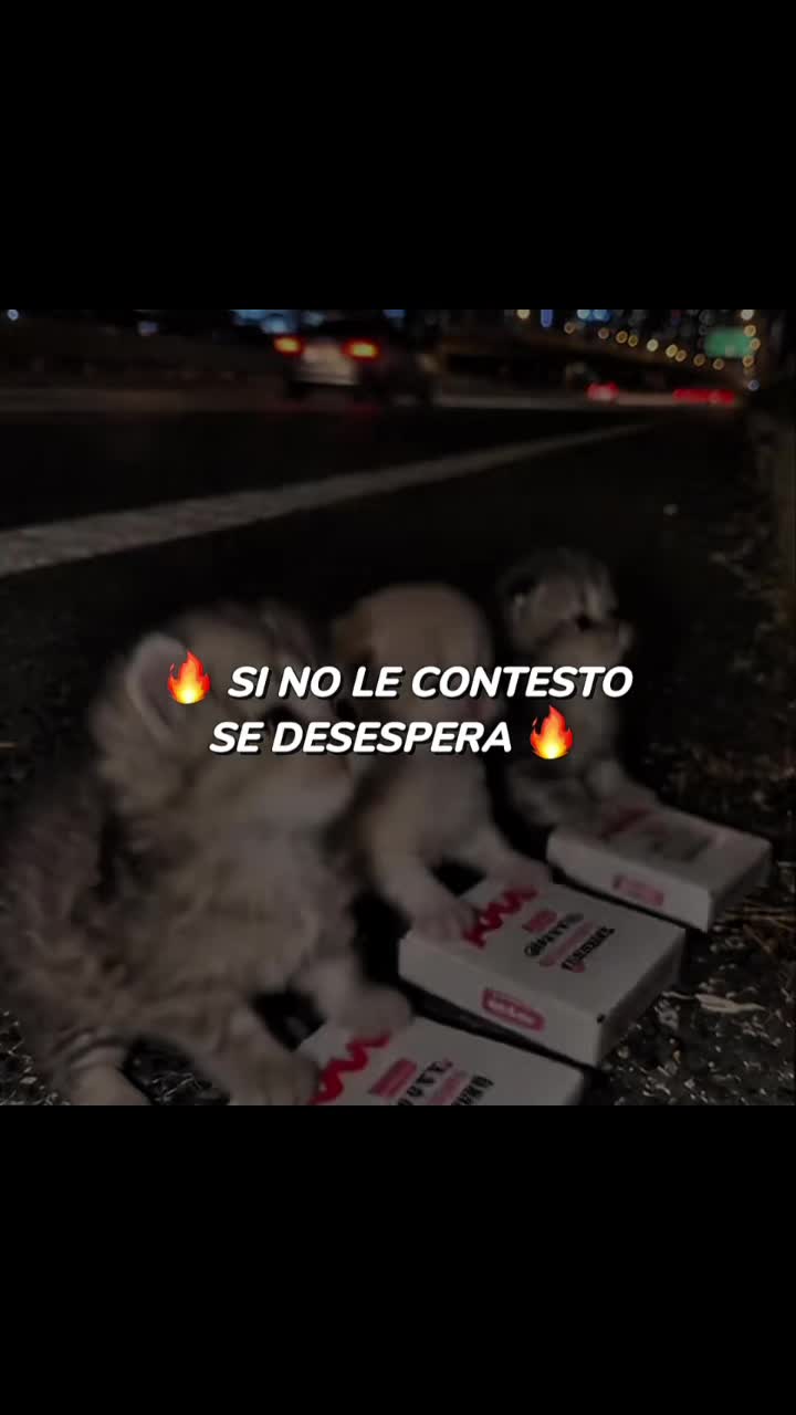 @No&eacute;❤️